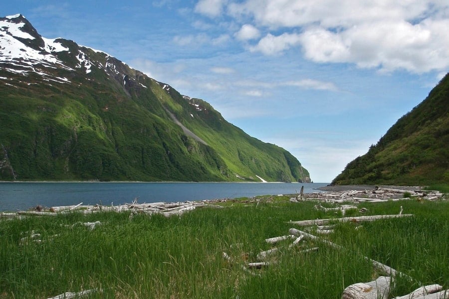 Kenai Fjords National Park in the summer