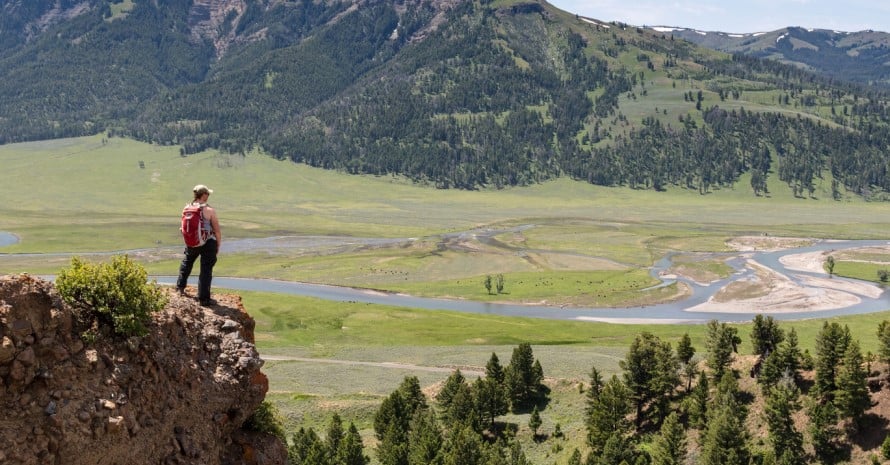 Lamar Valley in Yellowstone National Park 