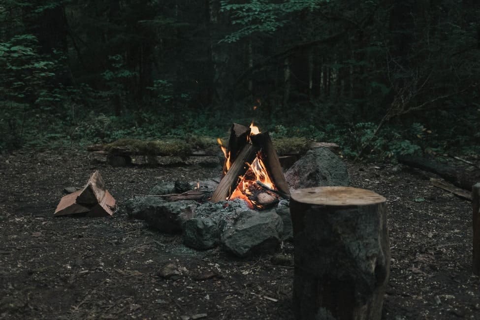 campfire in a forest