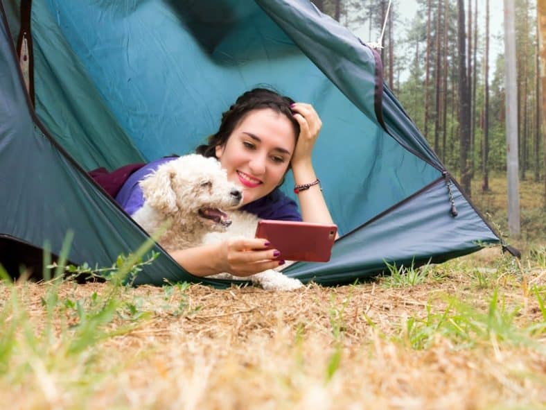 Best Tent for Dog Owners: Most Convenient Models & Useful Tips