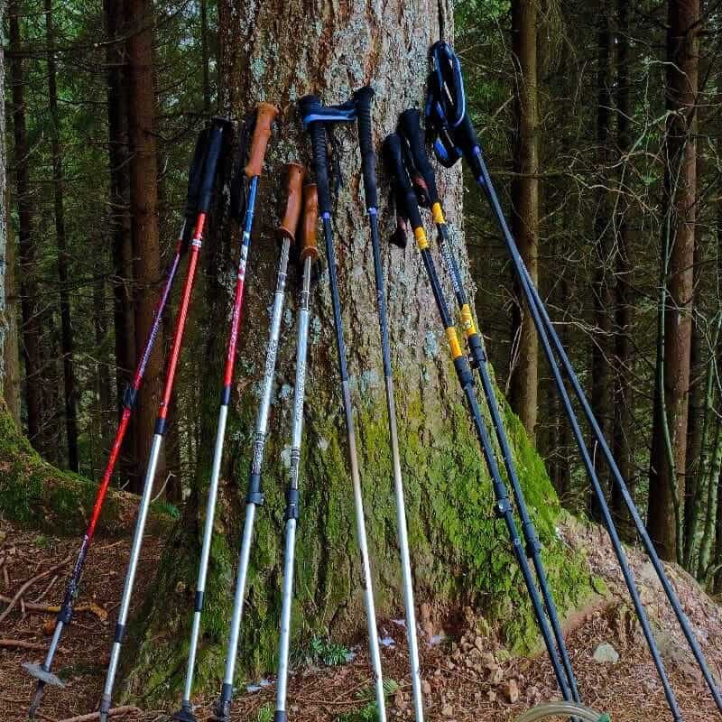 best trekking pole for hunting