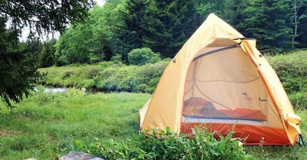 Naturehike Backpacking Tent in forrest