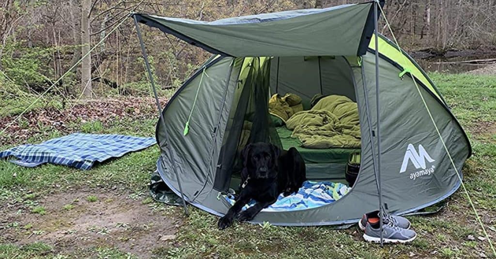 dog at ayamaya Pop Up Tents with Vestibule