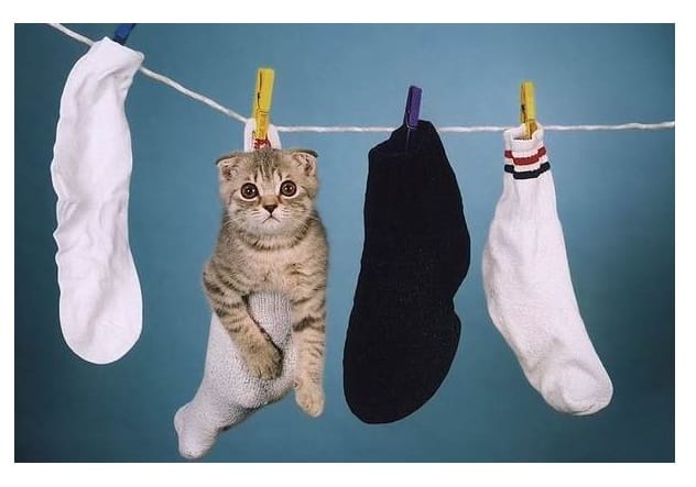 Wollen sokken gewassen door nahd - afbeelding 1